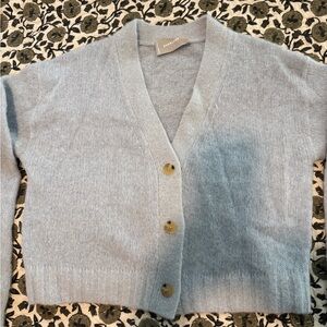 Everlane Light Blue Cardigan Sweater